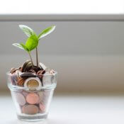 Tree growing from jar of coins.